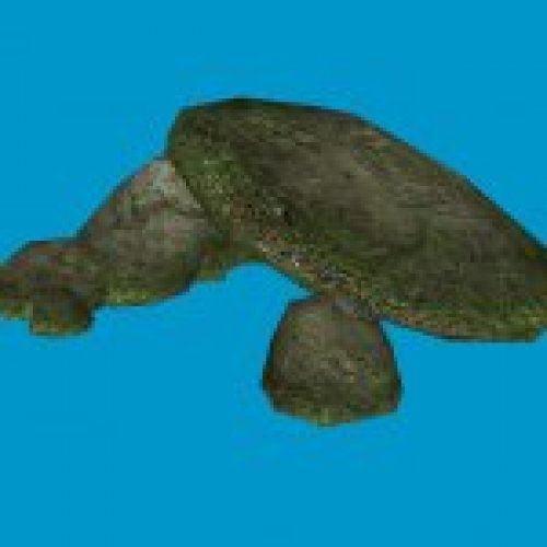 rockbig c