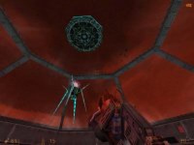 omni-arena