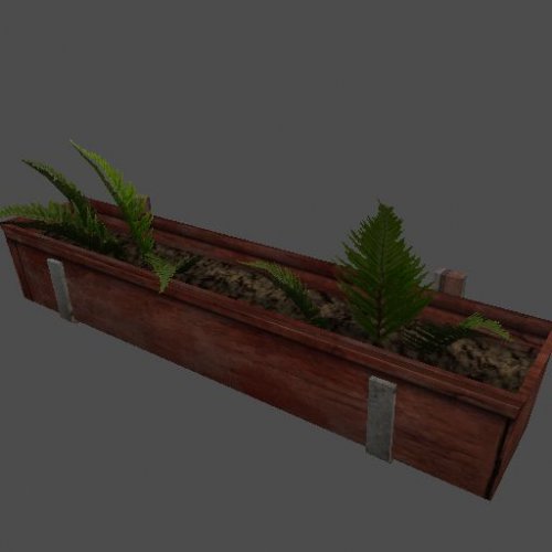 fern_box