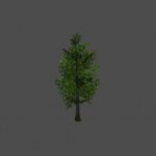 tree09