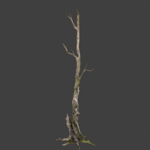 tree_02