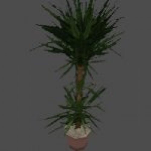 scar_vegetation.rar