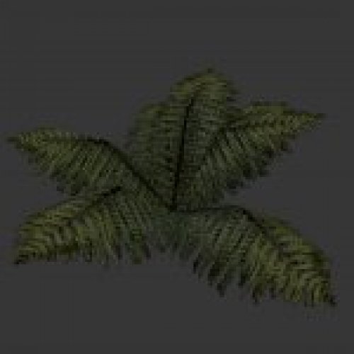 pi_fern.mdl