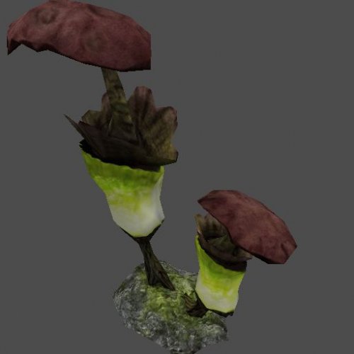 xen_fungus