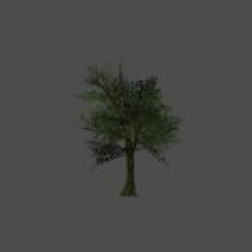 tree18