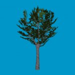 tree3