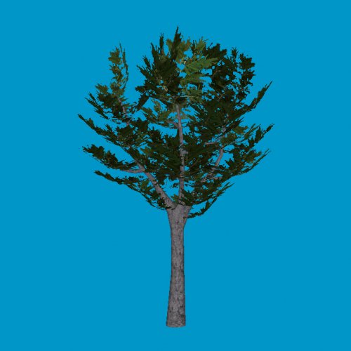 tree3