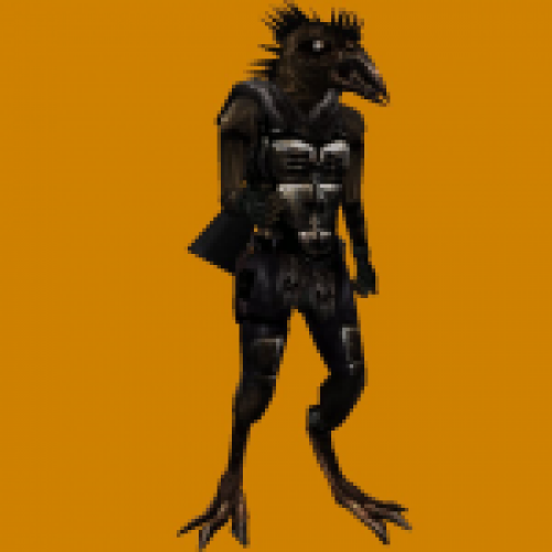 rgn_raven2
