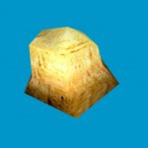 jn_orange_mushroom_02_gib00