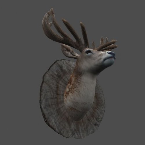 mex_stuff_head_2