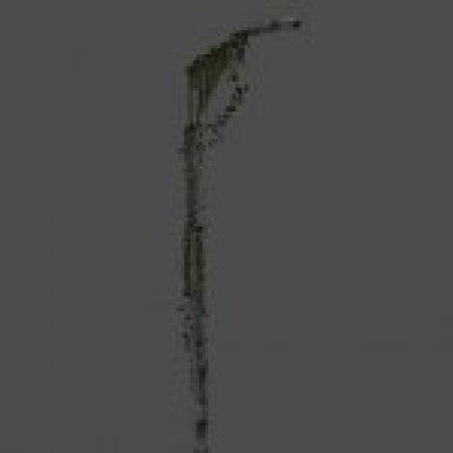 Lamppost vined