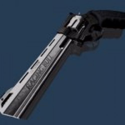Taurus Raging Bull Two-toned