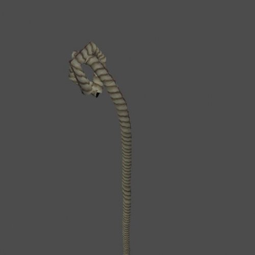 rope2