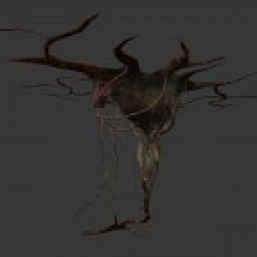 brain_tree.mdl