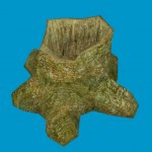 jn stump 04