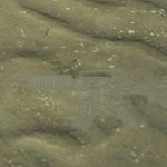 Ice_M4a1