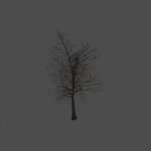 dead_tree06