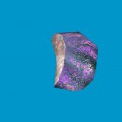 jn_blue_mushroom_01_gib02