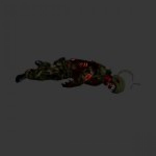 geo_alpha_dead.mdl
