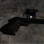 Deagle on Anti Pirate anims