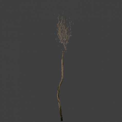 l10_swamp_kamysh_tree3