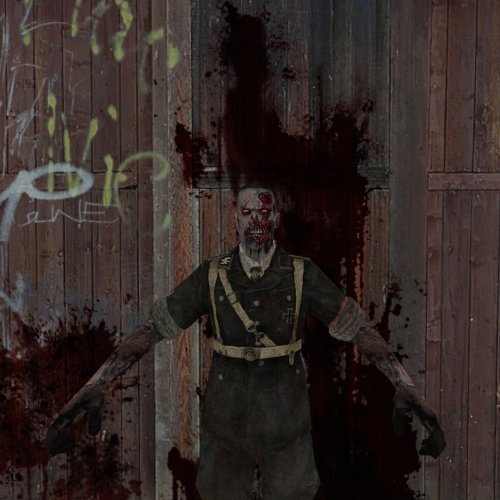 Call of Duty Nazi Zombie