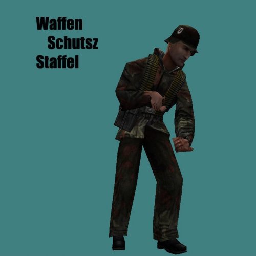 Waffen_Schutz_Staffel_FLECKTARN_TUNIC_