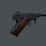 Colt Woodsman