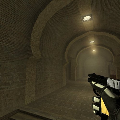 Black p228 with wood grip