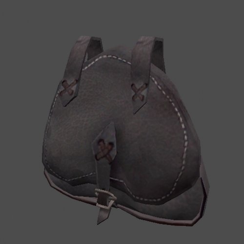 tesv_pouch
