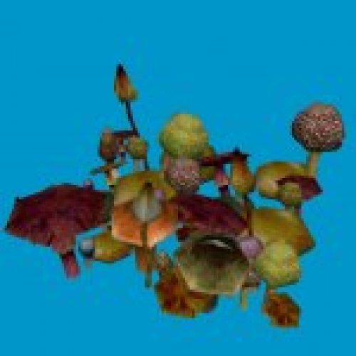 mushroom_clump_02