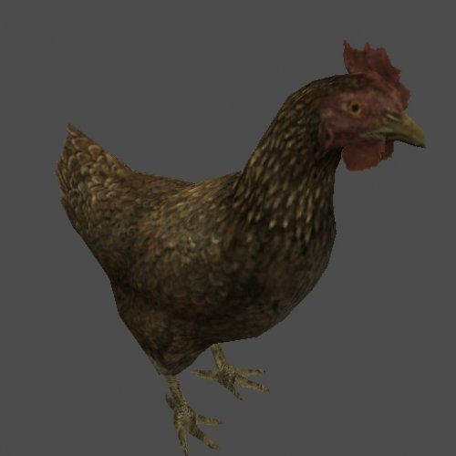 tesv_chicken