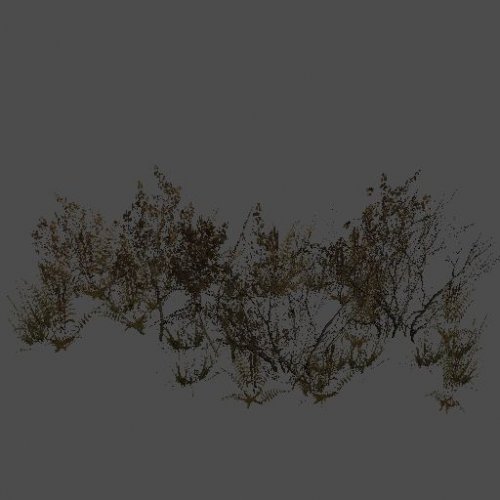 p2_branches