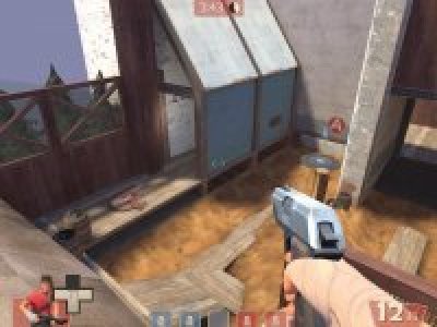 cp_beetle_b1