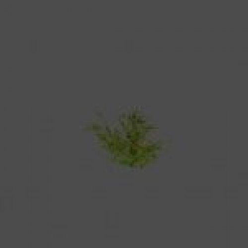 largebush02_ref