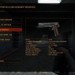 Engraved colt