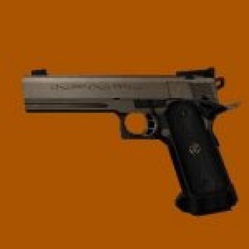 Colt M1991 infinity