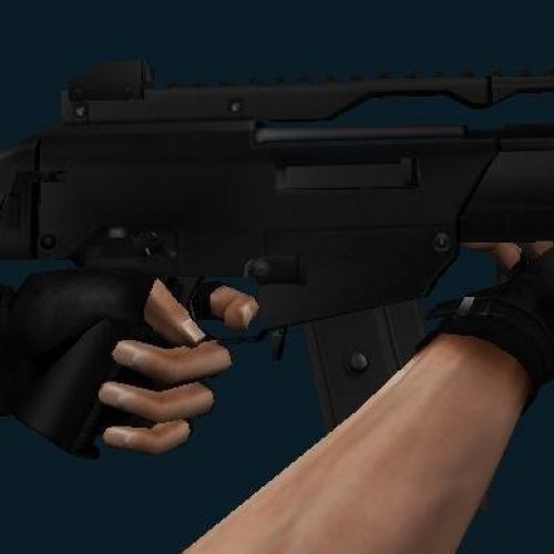 G36 Compact W Lam