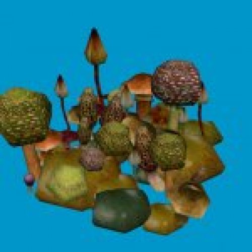 mushroom_clump_07