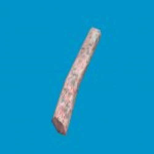 jn_blue_mushroom_03_gib01