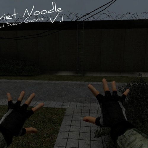 Soviet Noodle's Tactical Snow Gloves