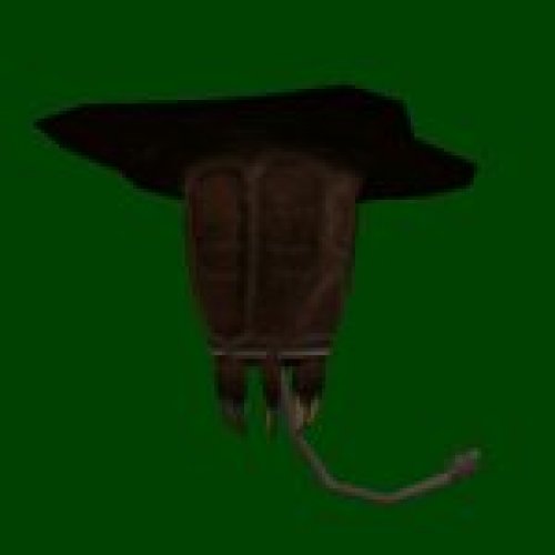 barnacle_sd