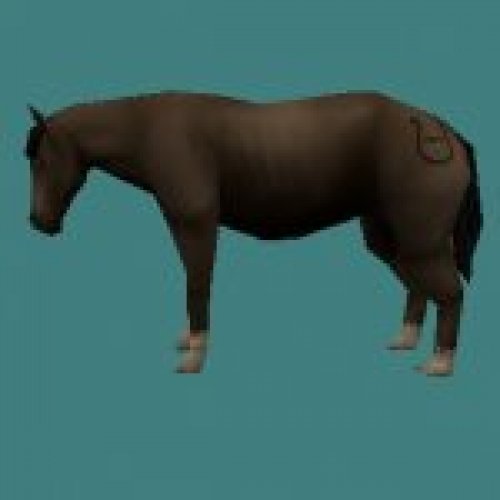 hessi_pony01.mdl
