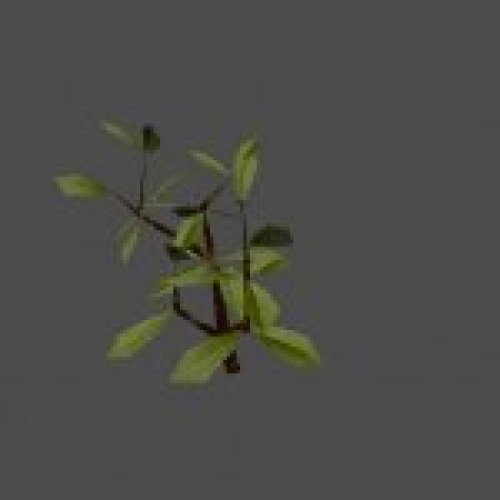bush47