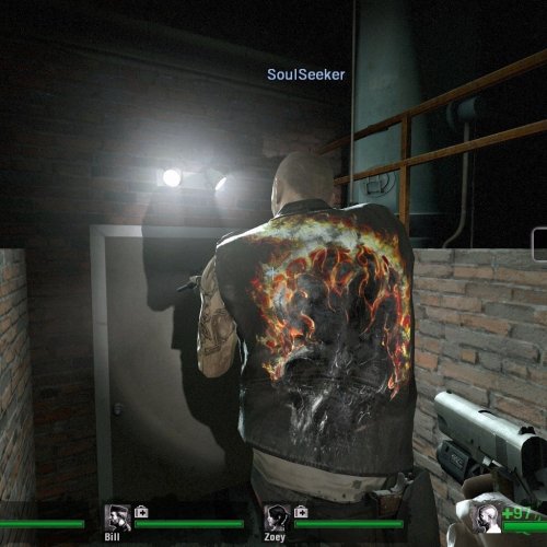 Biomech Francis Updated