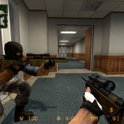 Puzzle Scout Skin