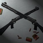 Benelli Skin