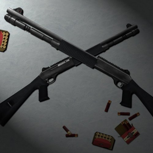 Benelli Skin