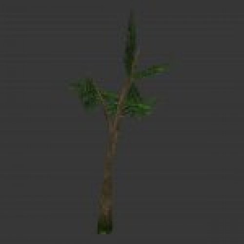treev01.mdl