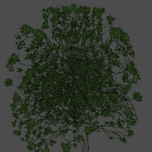 hil_baum03